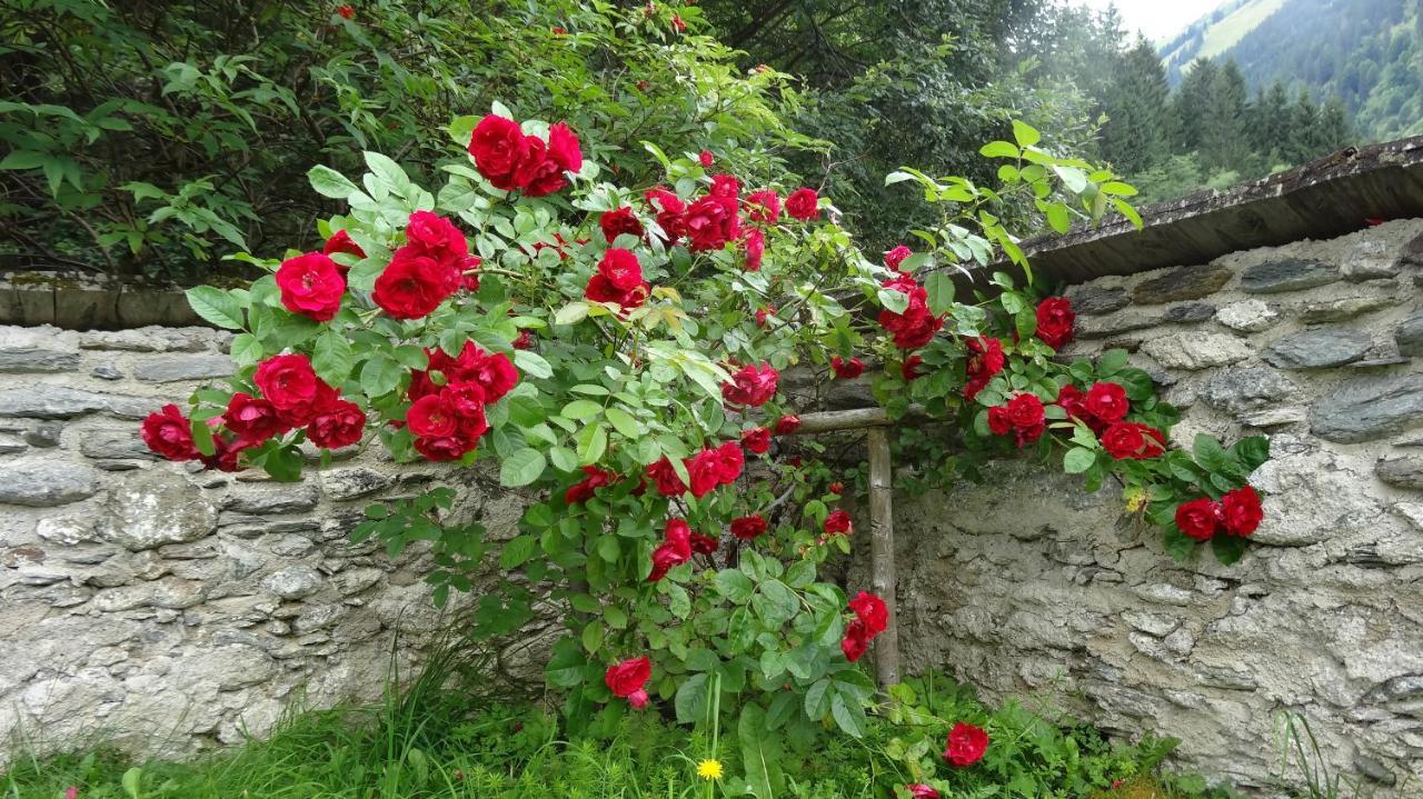 Ferienwohnung Moersbachblick Donnersbachwald Εξωτερικό φωτογραφία